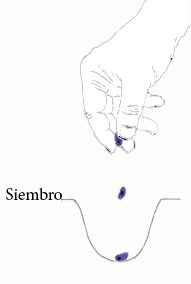 siembro-bco